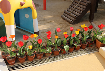 幼保連携型認定こども園についての写真